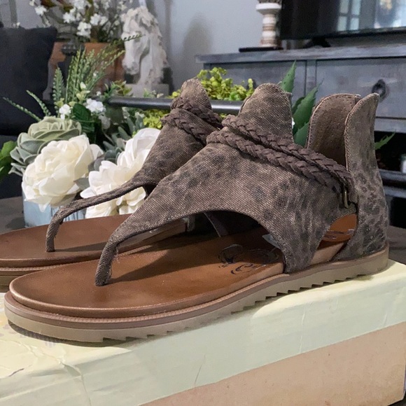 Buckle Shoes - Buckle Brown Leopard Print Sandals